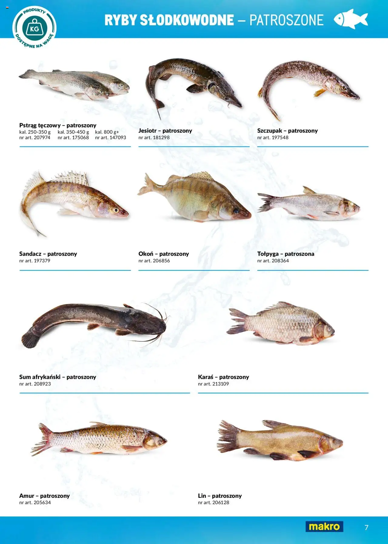 Makro Gazetka - Ryby i owoce morza od 01.05.2025 | Strona: 7 | Produkty: Pstrąg tęczowy, Sandacz, Pstrąg, Ryby