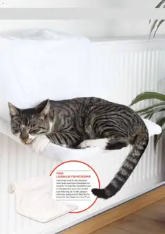 zookauf Themenkatalog Katze ab 01.10.2025 gültig | Seite: 47 | Produkte: Heizkörper