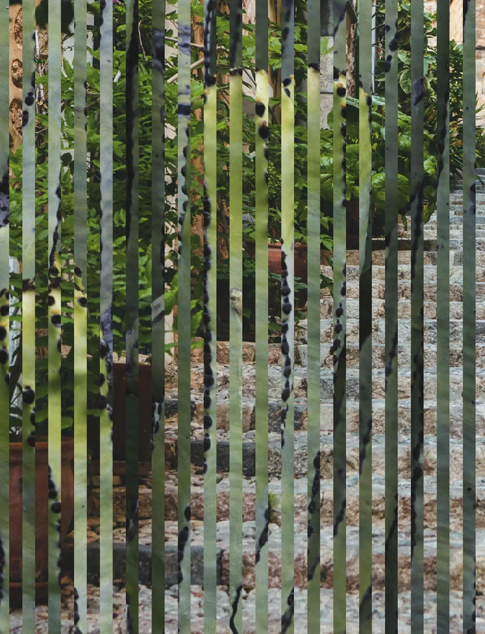 Aida Airtours Erstklassige Europareisen – gültig ab 30.10.2025 | Seite: 8