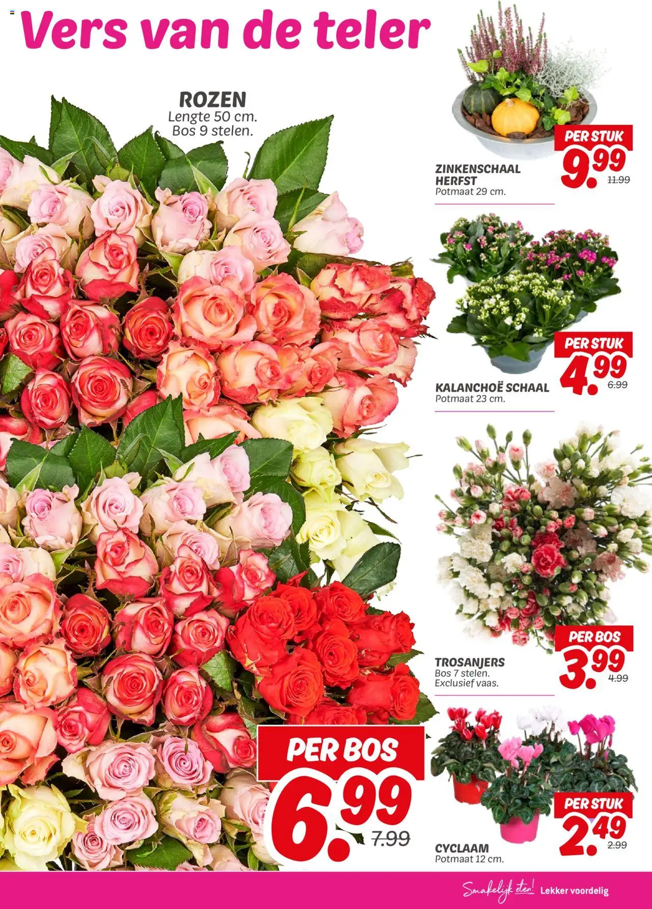 {H1} | Pagina: 19 | Producten: Schaal