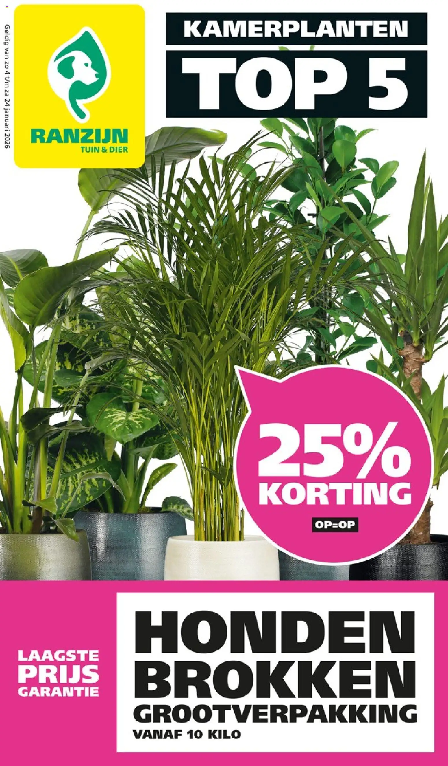 {H1} | Pagina: 1 | Producten: Kamerplanten