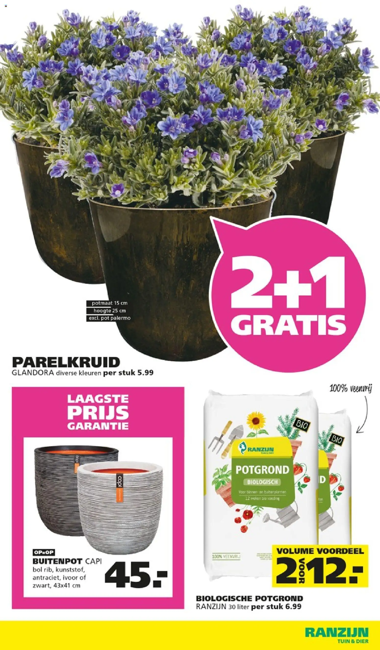 {H1} | Pagina: 2 | Producten: Pot, Bol