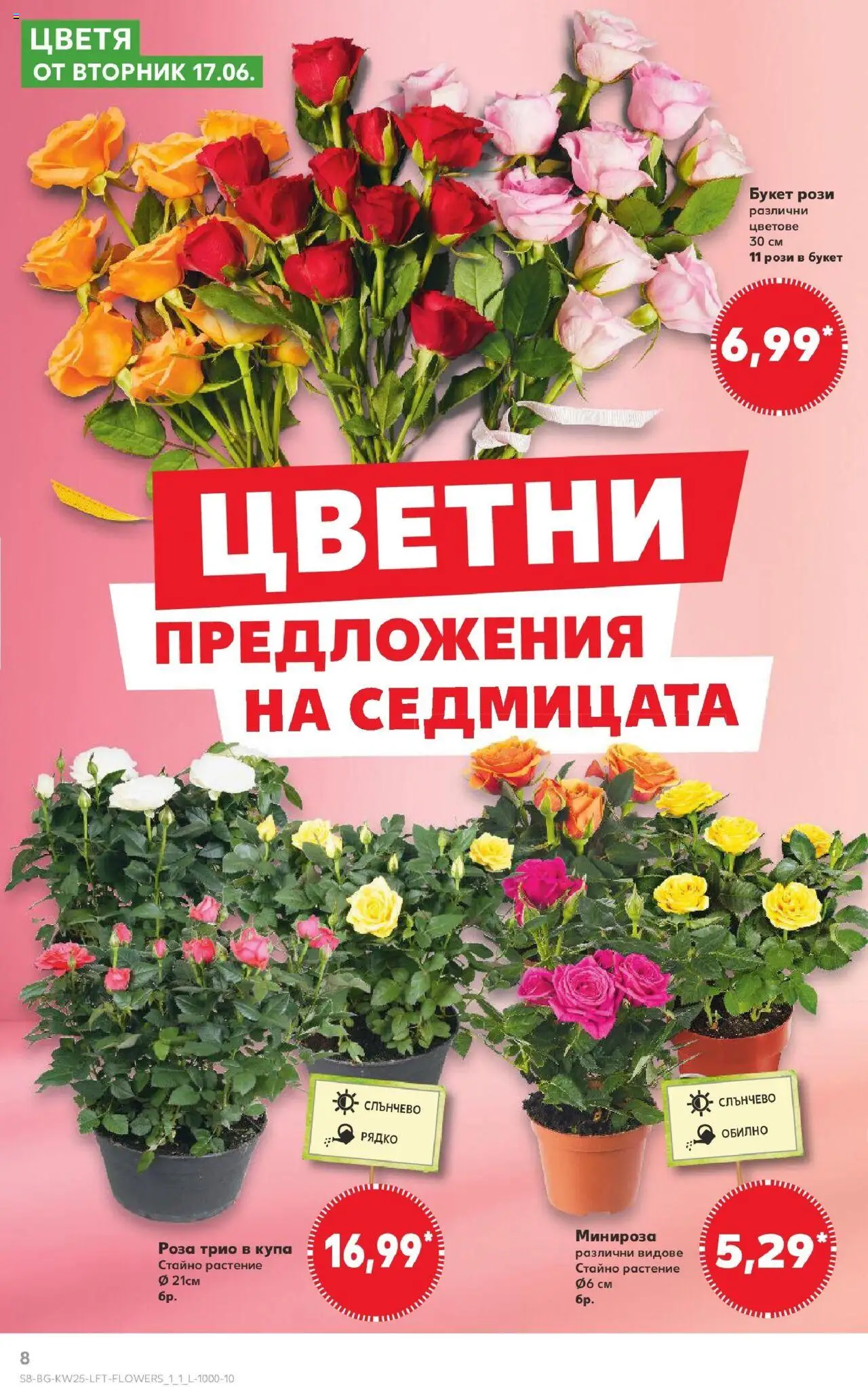  | Страница: 8 | Продукти: Купа, Роза