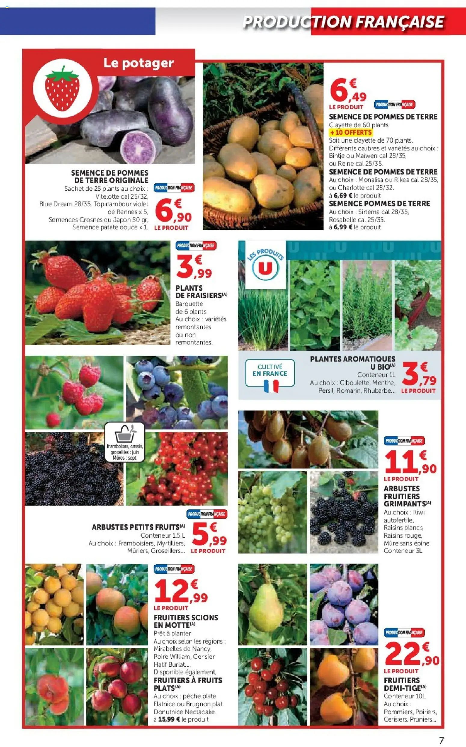 {H1} | Page: 7 | Produits: Le potager, Brugnon, Rhubarbe, Pommes