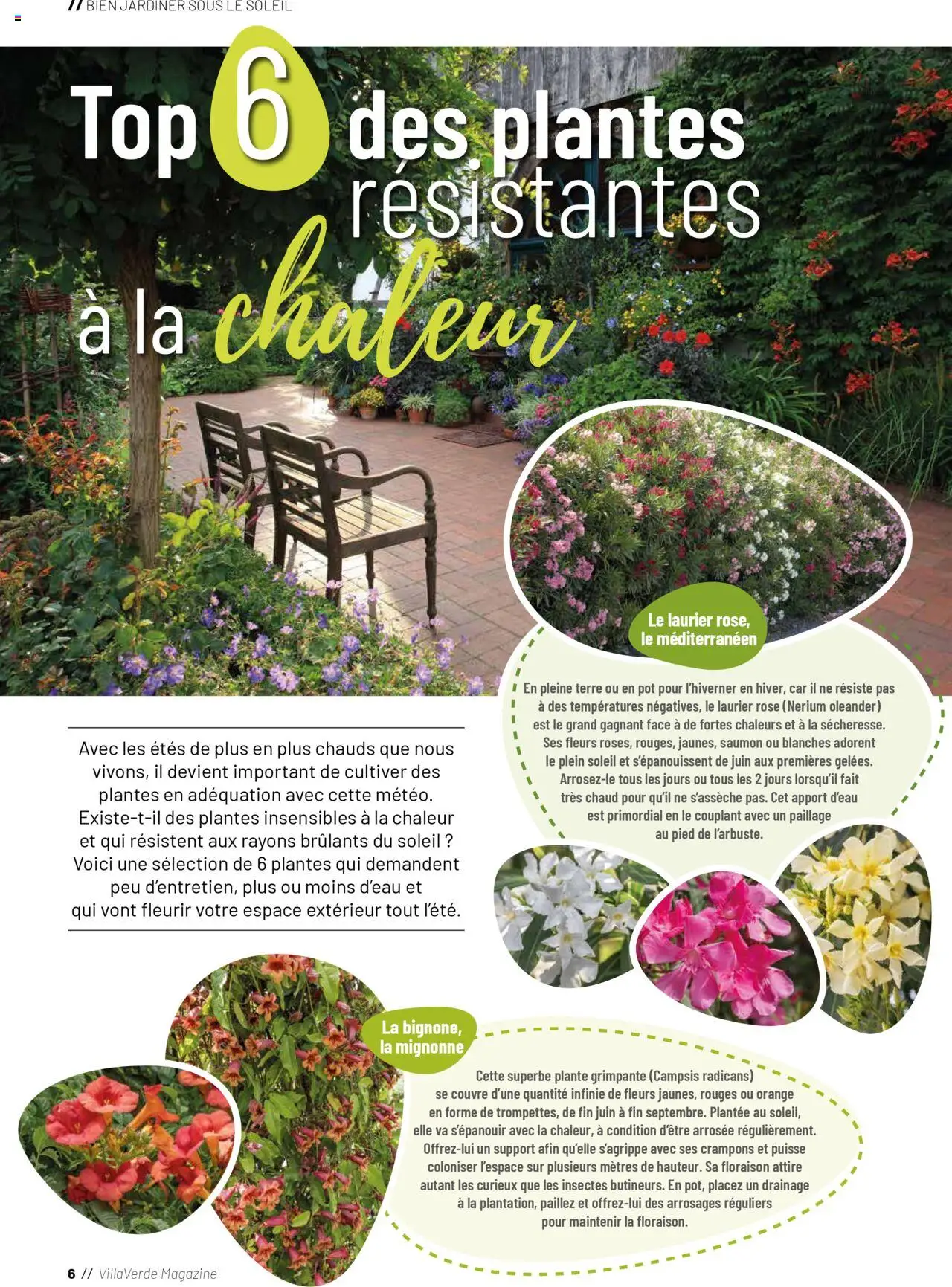  | Page: 6 | Produits: Orange, Laurier Rose, Crampons, Saumon