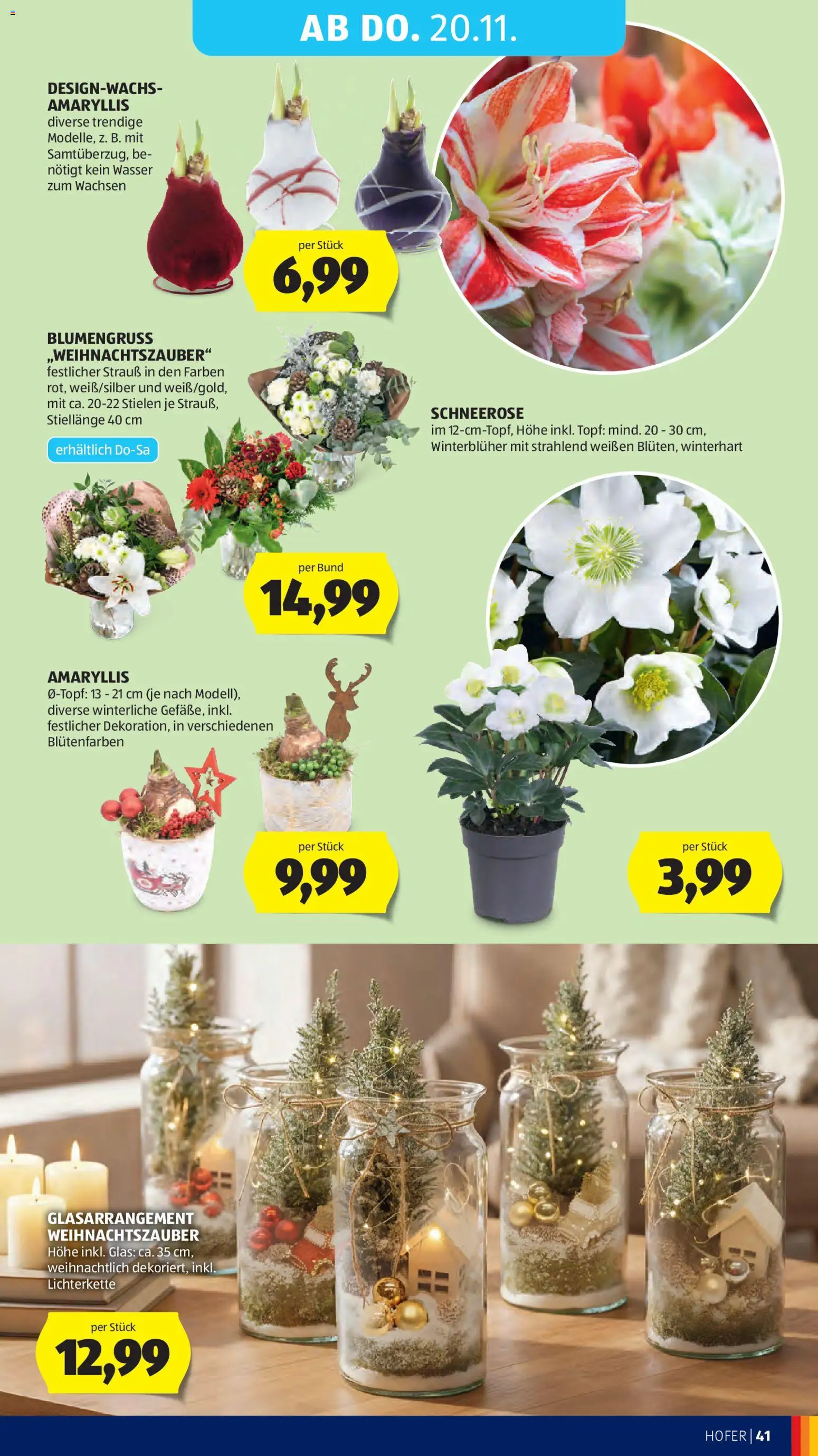 Hofer - Black Friday gültig ab 14.11.2025 | Seite: 49 | Produkte: Wasser