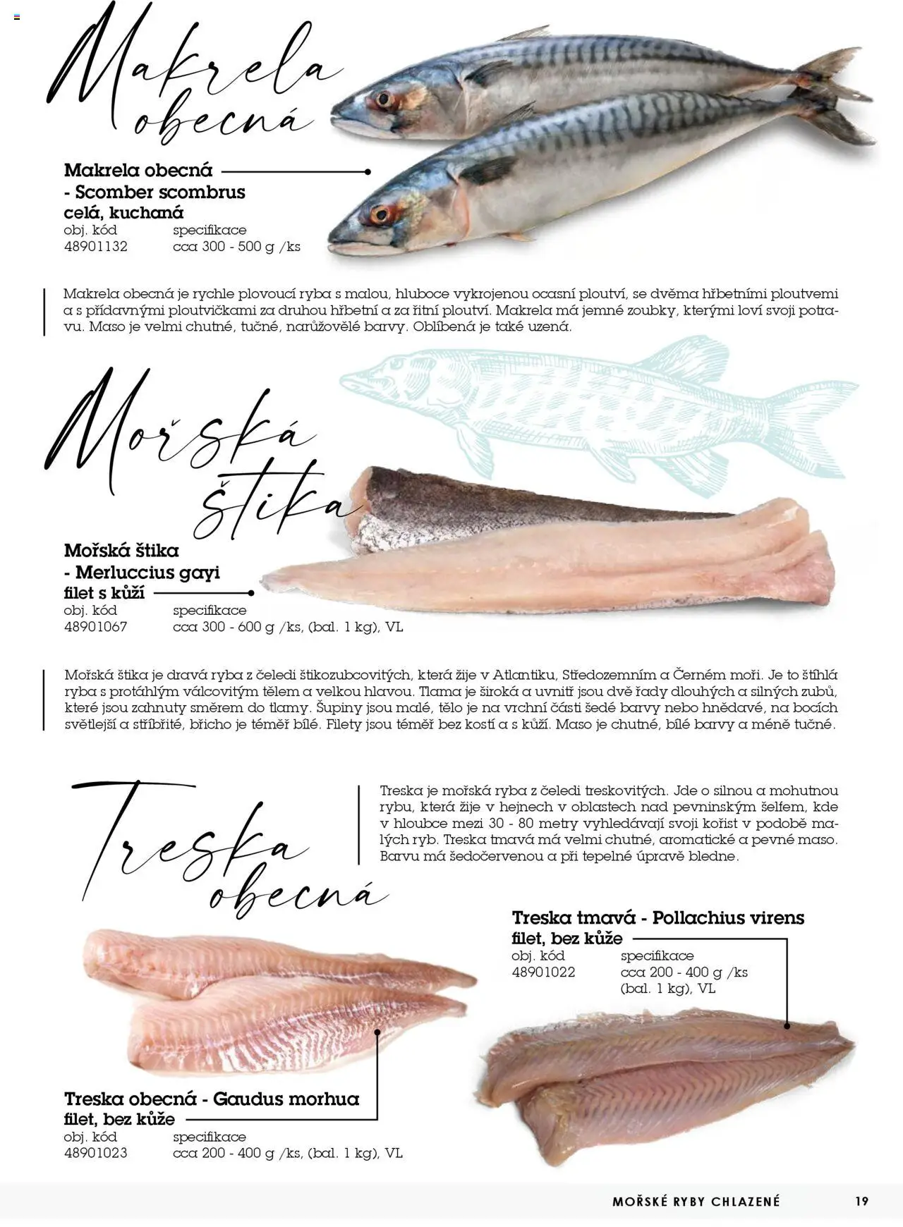 Jip katalog ryby 2024/25 od 30.12.2024 | Strana: 19 | Produkty: Ryba, Ryby, Filet, Barvy