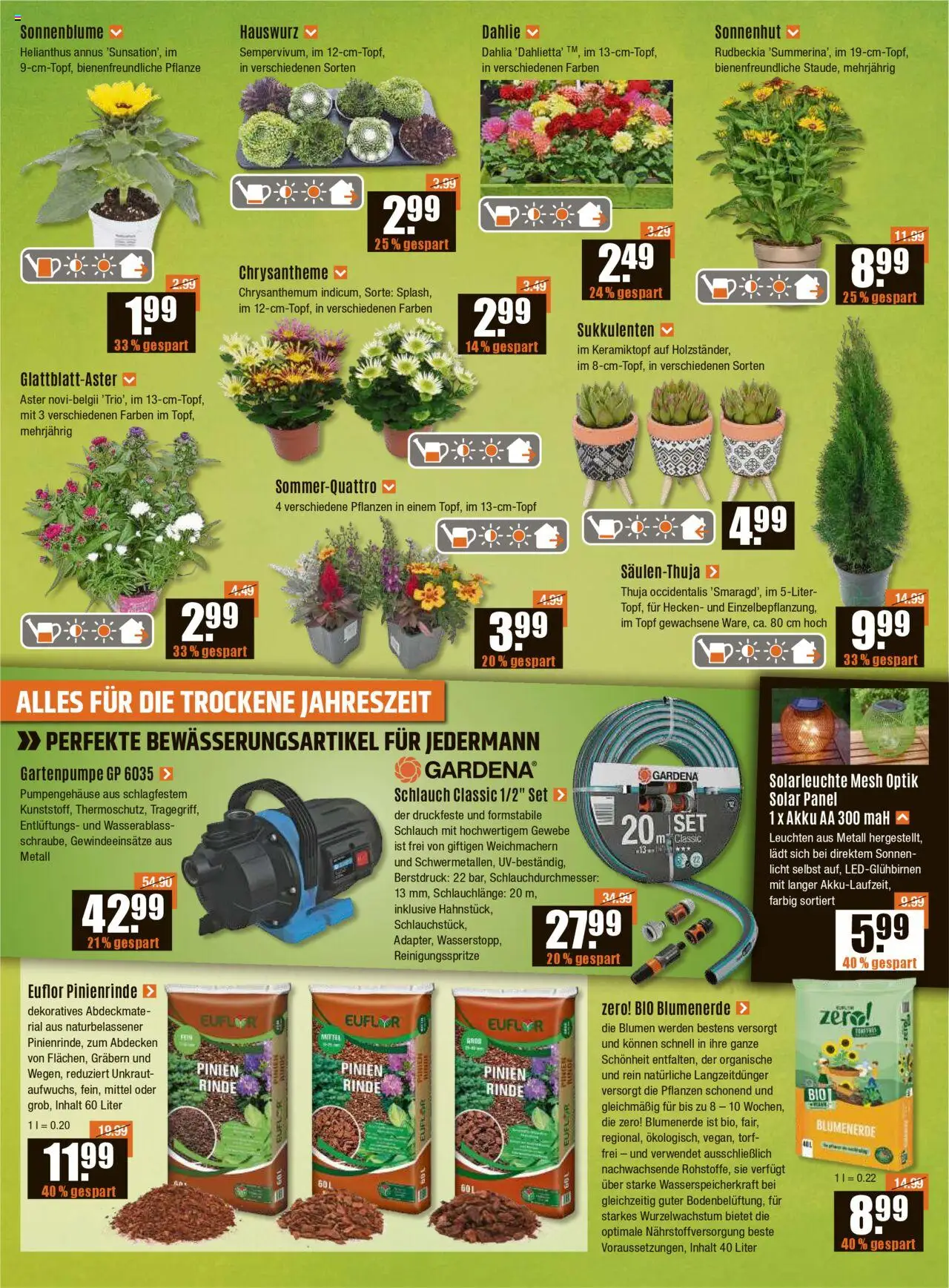 V-Baumarkt - Aalen - gültig ab dem 24.07.2025 | Seite: 2 | Produkte: Blumen, Blumenerde, Solarleuchte