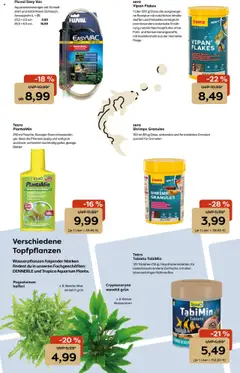 Zoo & co Prospekt 	 - gültig ab dem 28.07.2025 | Seite: 11 | Produkte: Garnelen