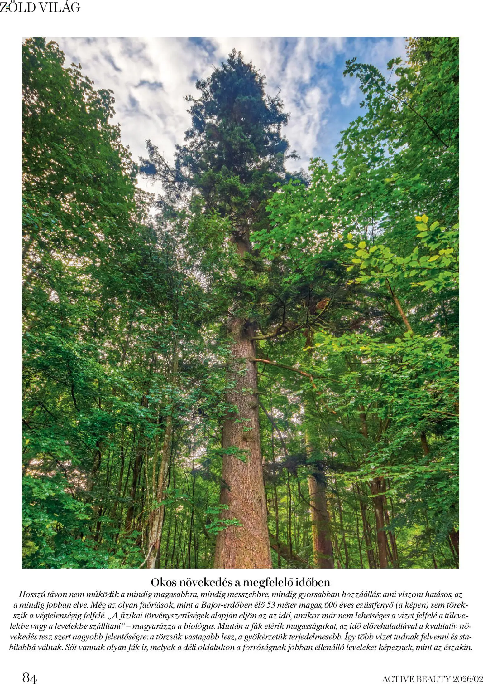 DM Drogerie Markt akciós ujság - amely érvényes a következő dátumtól: 06.02.2026 | Oldal: 84