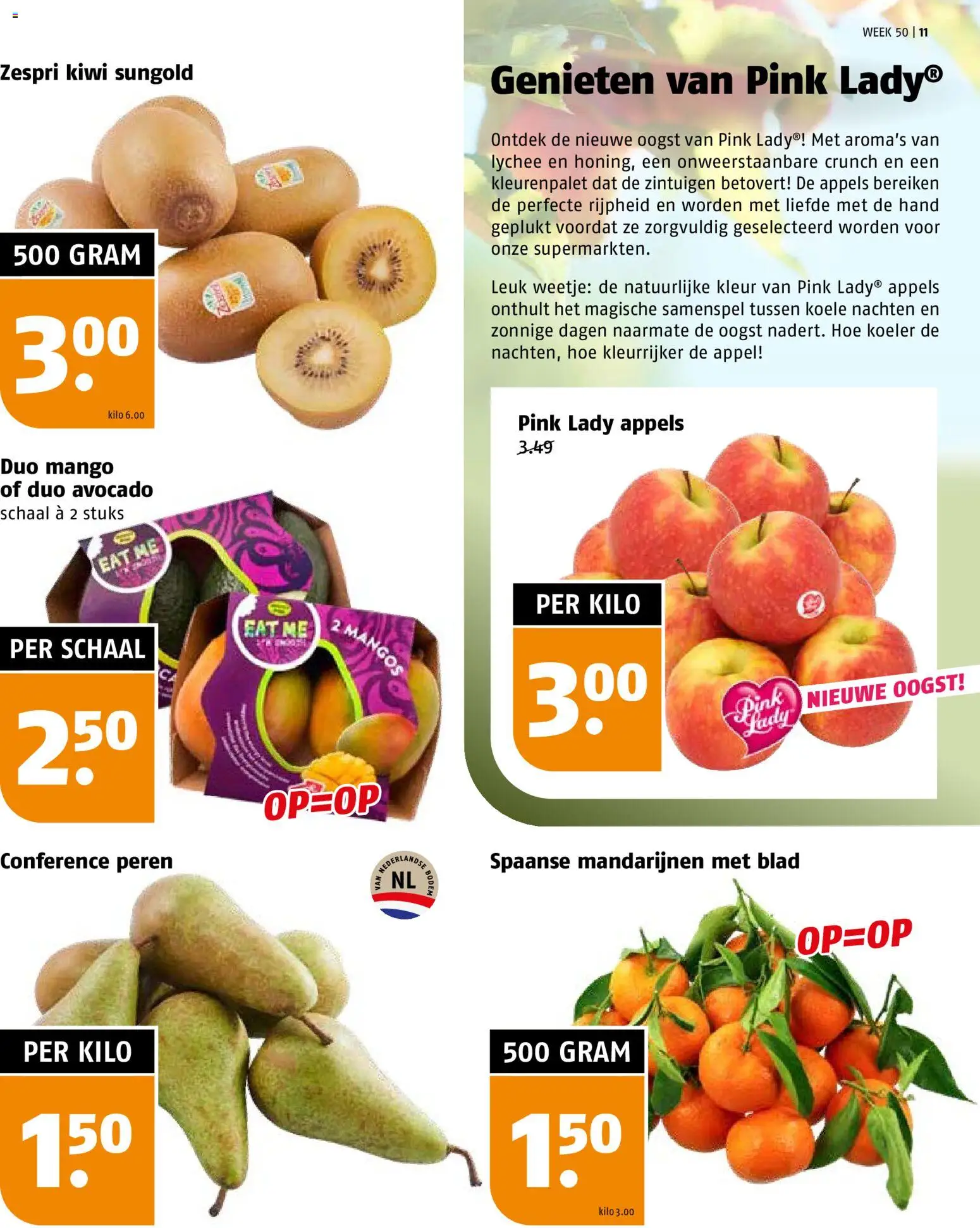 {H1} | Pagina: 11 | Producten: Avocado, Appels, Schaal, Koeler