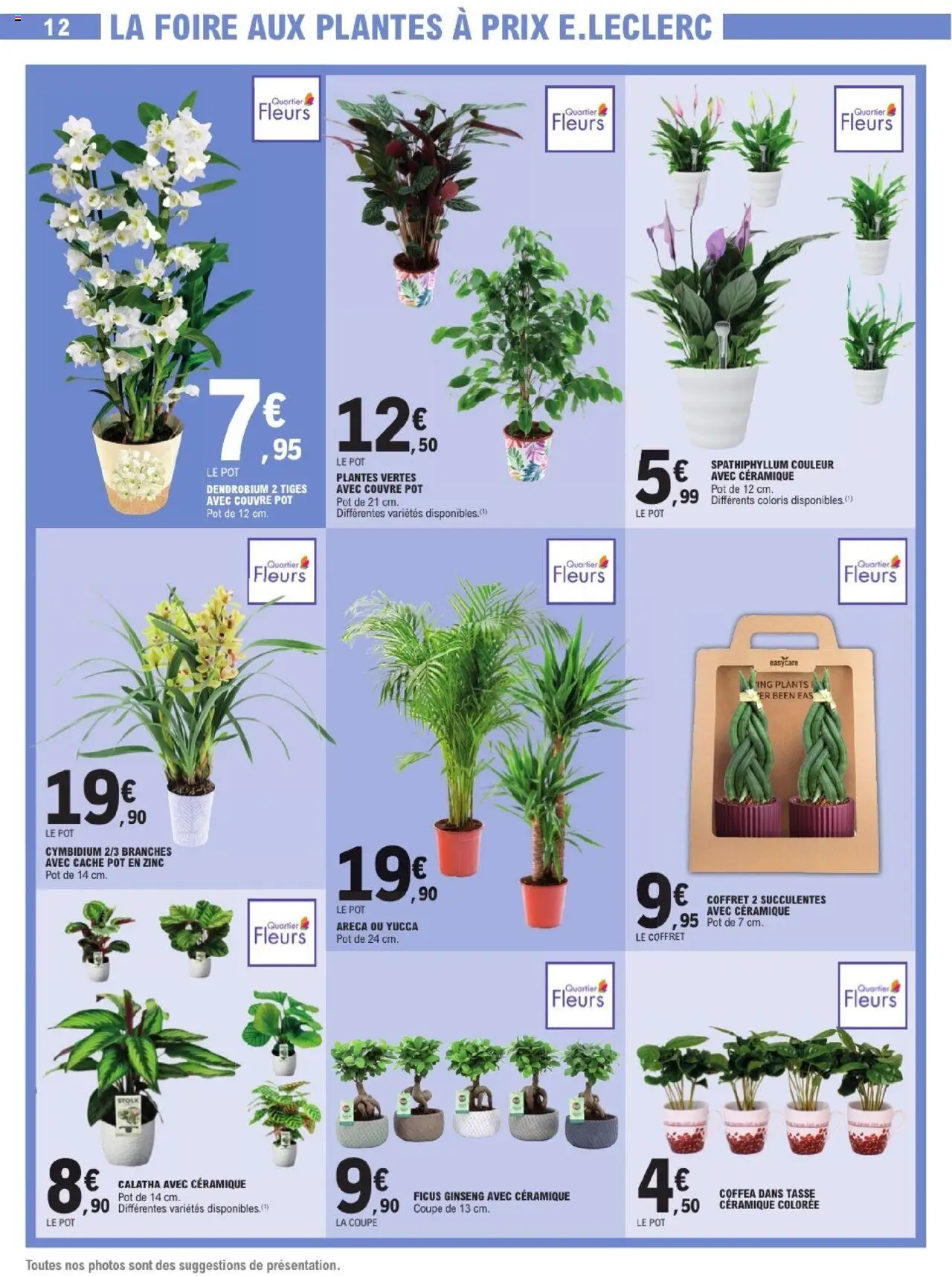  | Page: 12 | Produits: Plantes