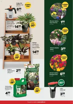 Kalia katalog akcije – veljaven od 20.10.2025 | Stran: 7 | Izdelki: Žemlja, Lončnice