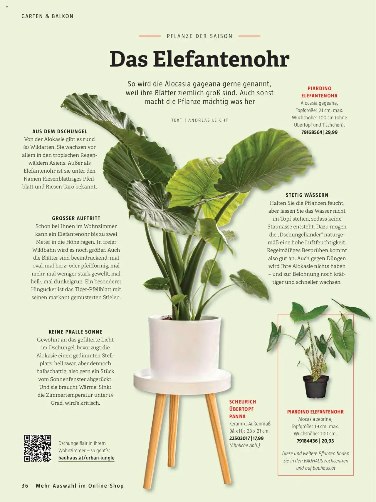 Bauhaus Passt! gültig ab 01.10.2025 | Seite: 36 | Produkte: Wasser