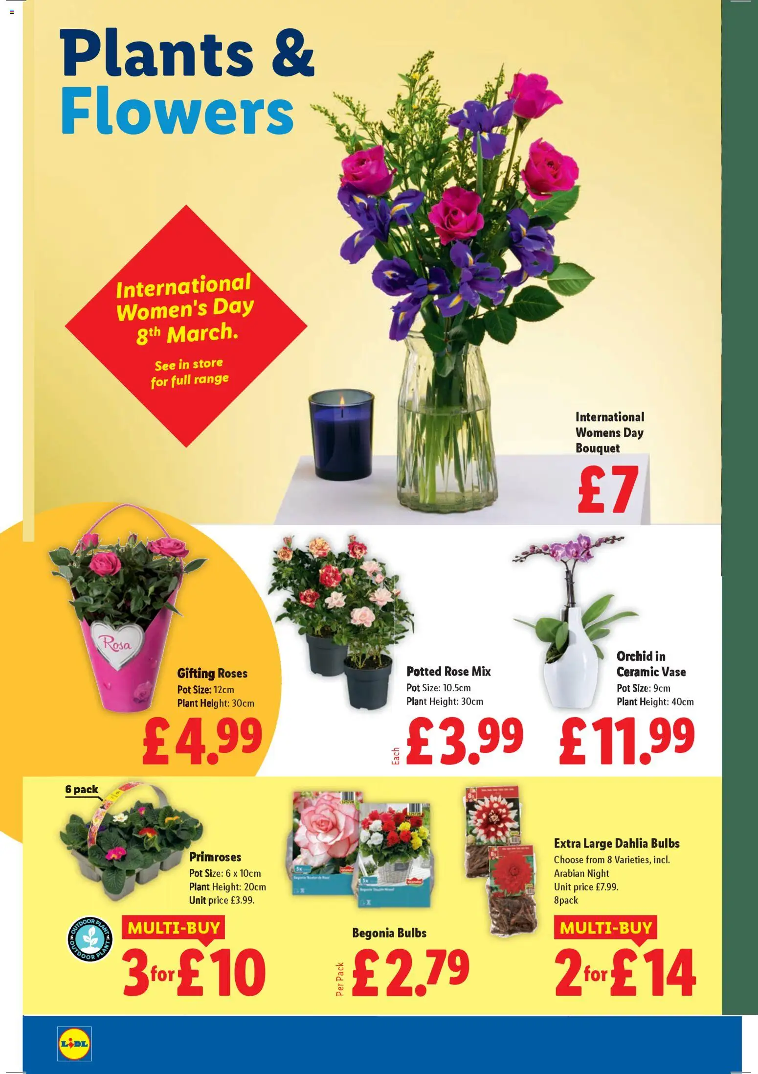 {H1} | Page: 22 | Products: Pot, Vase, Roses