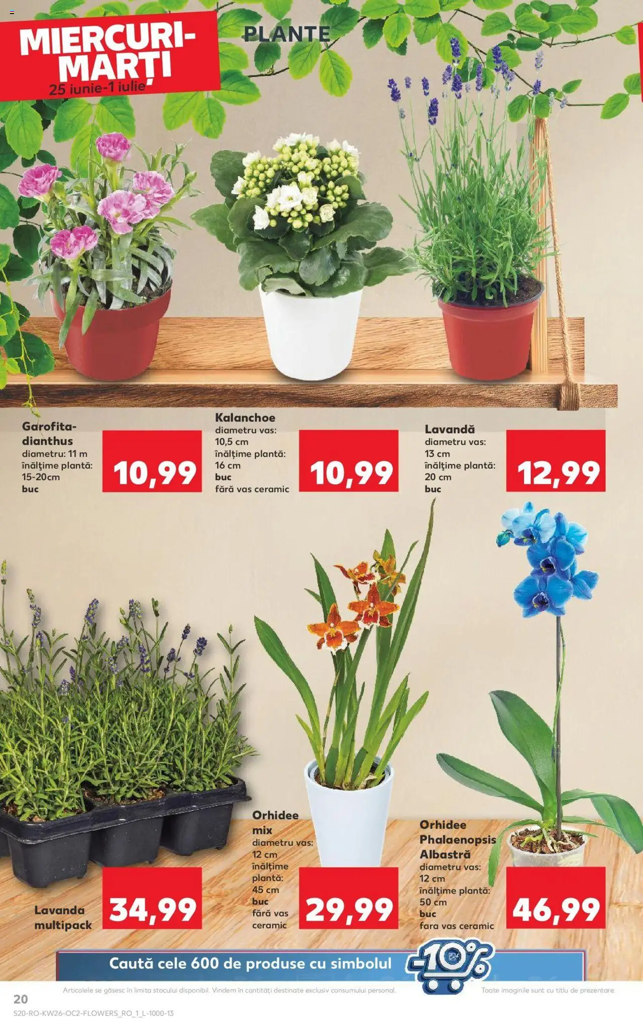 Catalog Kaufland - Bucureşti – valabil de la 25.06.2025 | Pagină: 20 | Produse: Orhidee