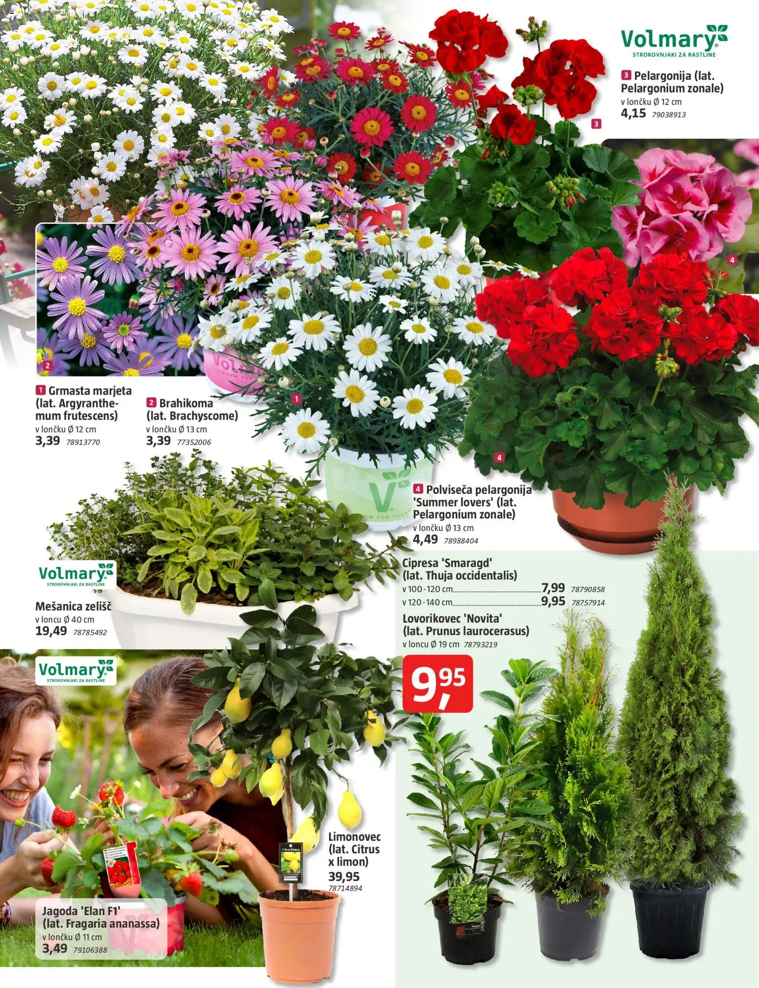 Novi Bauhaus katalog ponudbe – veljaven od 18.03.2026 | Stran: 8