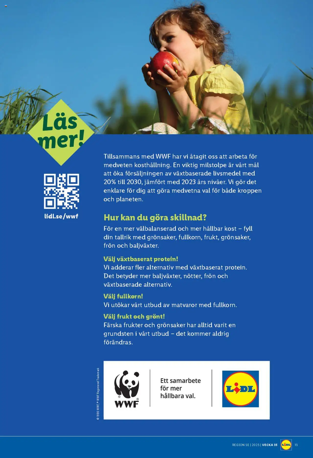 Lidl reklamblad aktuell från 25.08.2025 | Sida: 15
