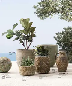 01.01.2026 tarihinden itibaren geçerli olan Mudo kataloğu önizlemesi | Sayfa: 20