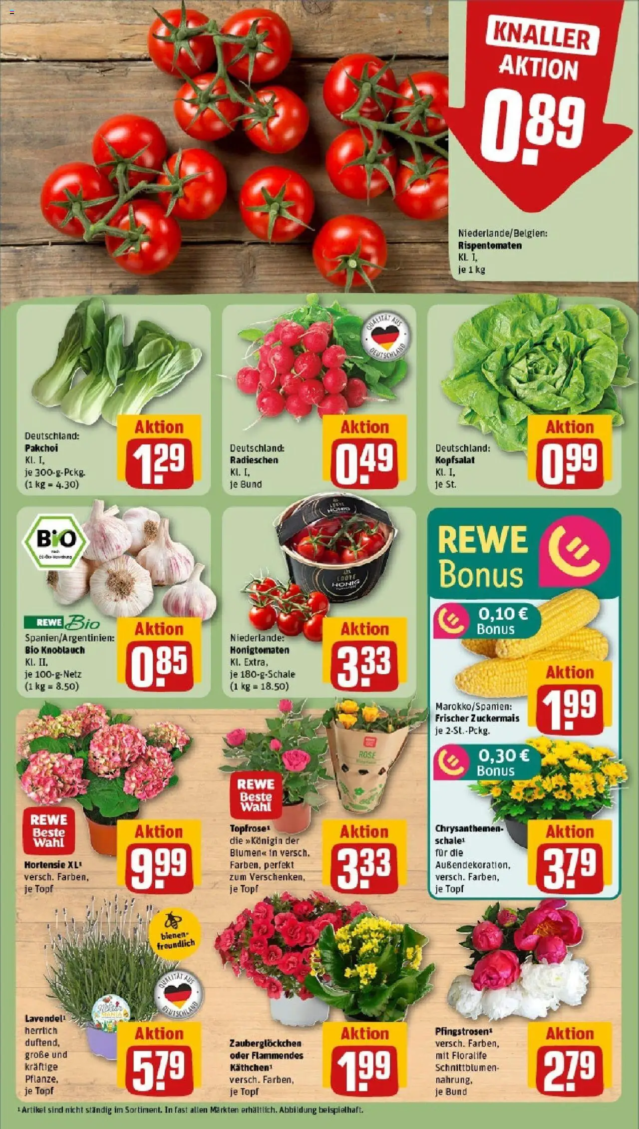 Rewe prospekt Nessetal Ot Goldbach	 - gültig ab dem 08.06.2025 | Seite: 7 | Produkte: Hortensie, Blumen, Knoblauch