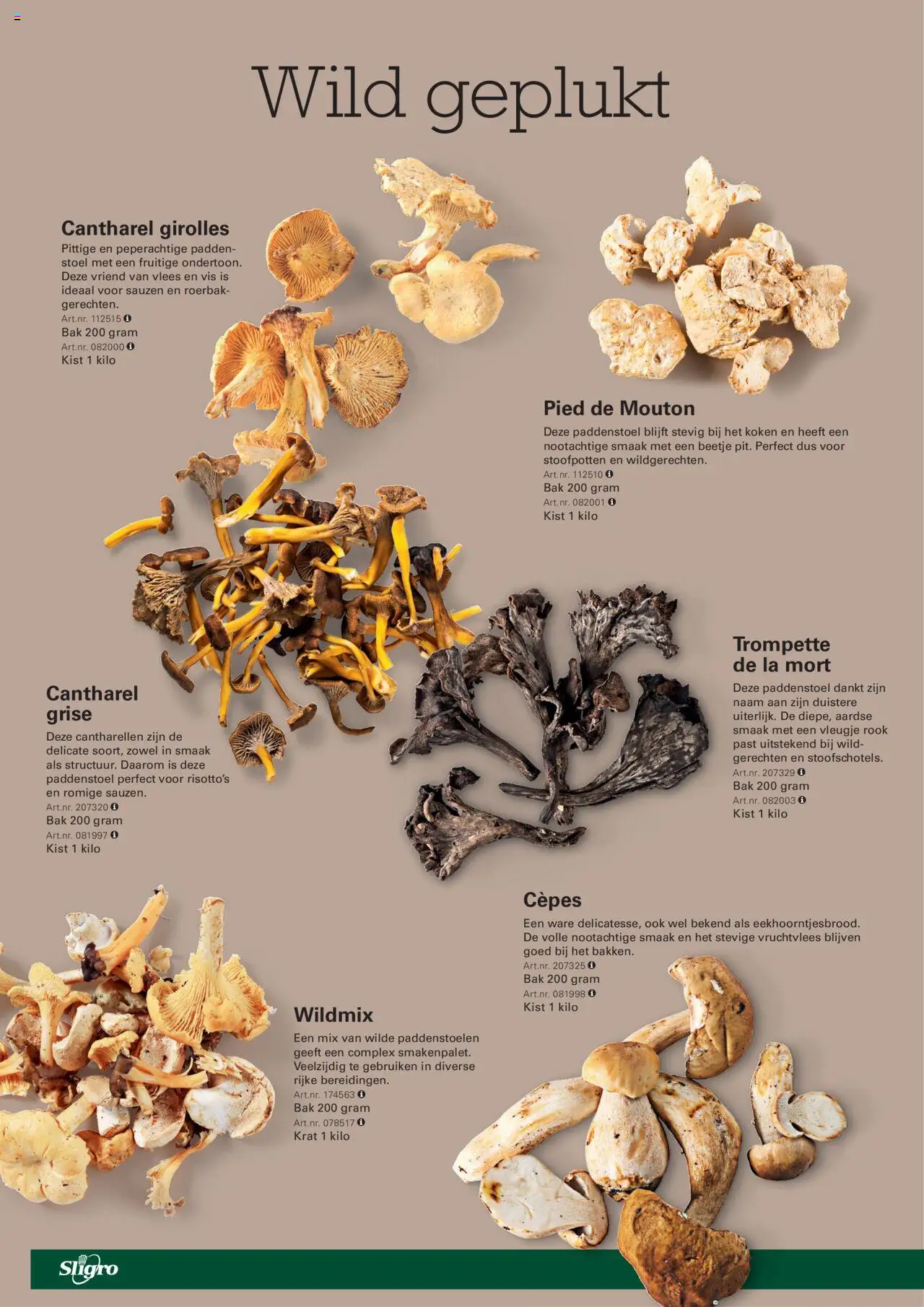 {H1} | Pagina: 6 | Producten: Kisperec, Vis, La, Stoel