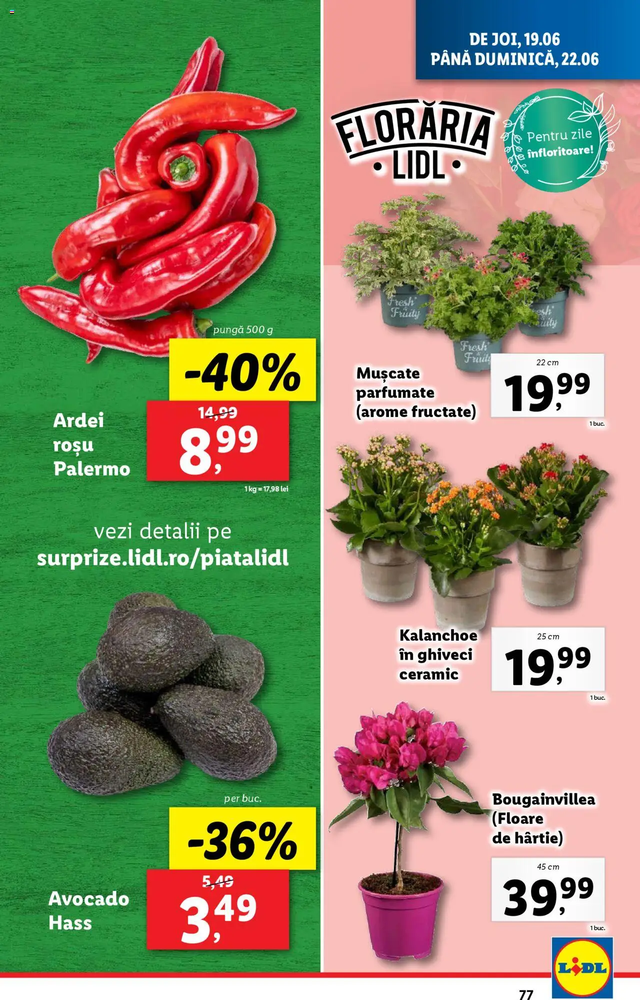 Catalog Lidl – valabil de la 16.06.2025 | Pagină: 77 | Produse: Pungă, Ghiveci, Ardei, Avocado