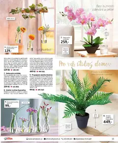 Náhled letáku Velký Košík katalog březen 2026 od 01.03.2026 | Strana: 15