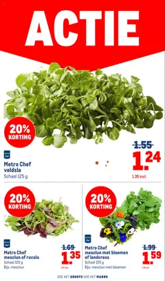  | Pagina: 18 | Producten: Rucola, Schaal, Bloemen