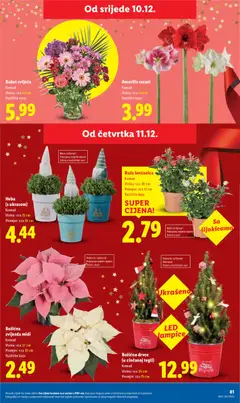Katalog Lidl - Pregled kataloga iz trgovine Lidl, vrijedi od 08.12.2025 | Stranica: 81