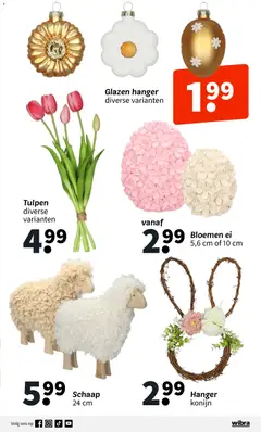 Wibra - Folder - Voorbeeld van een folder van Wibra, geldig van 19.01.2026 | Pagina: 11 | Producten: Hanger, Bloemen