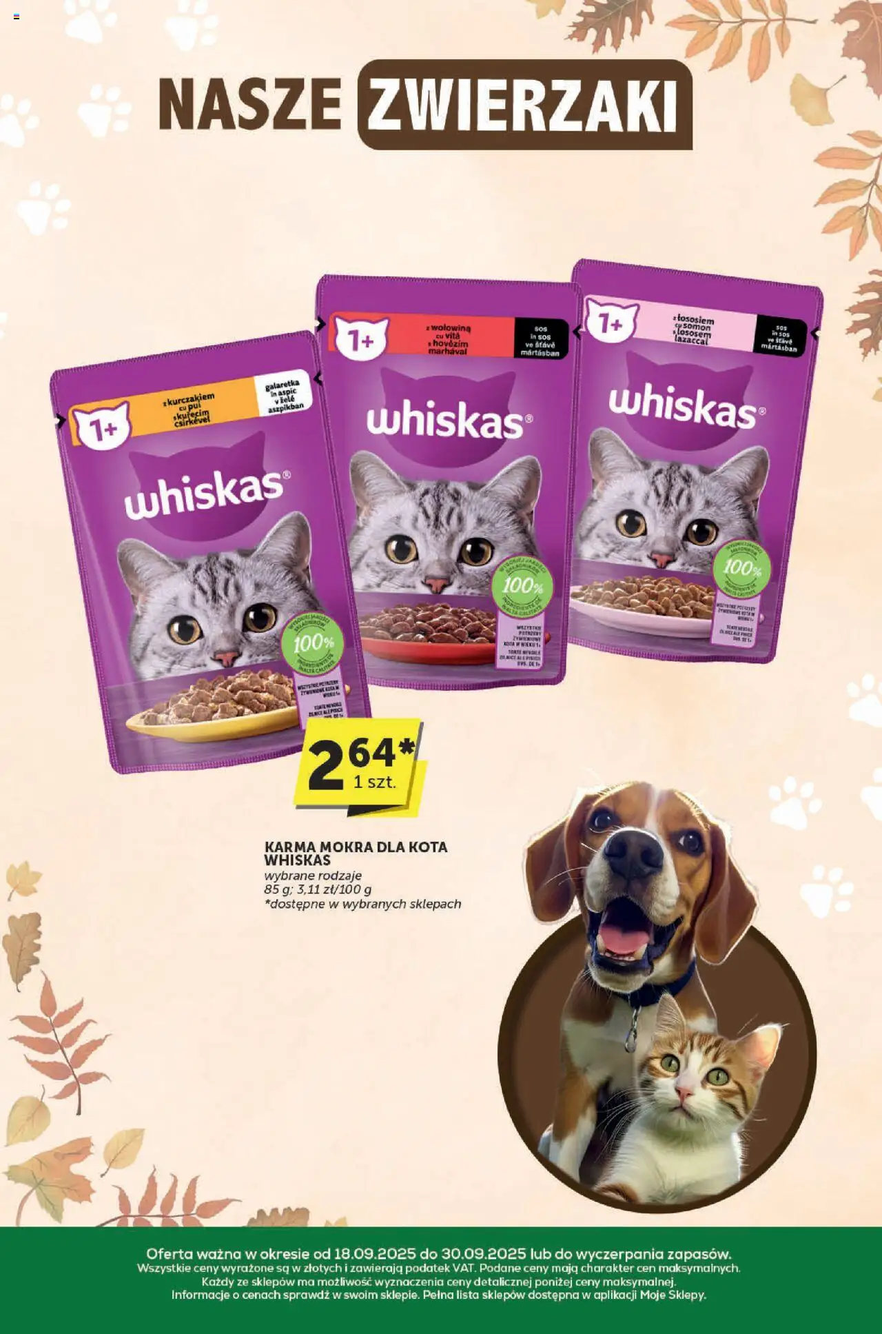ABC Gazetka - Katalog od 18.09.2025 | Strona: 34 | Produkty: Galaretka, Karma mokra dla kota, Wołowina, Sos