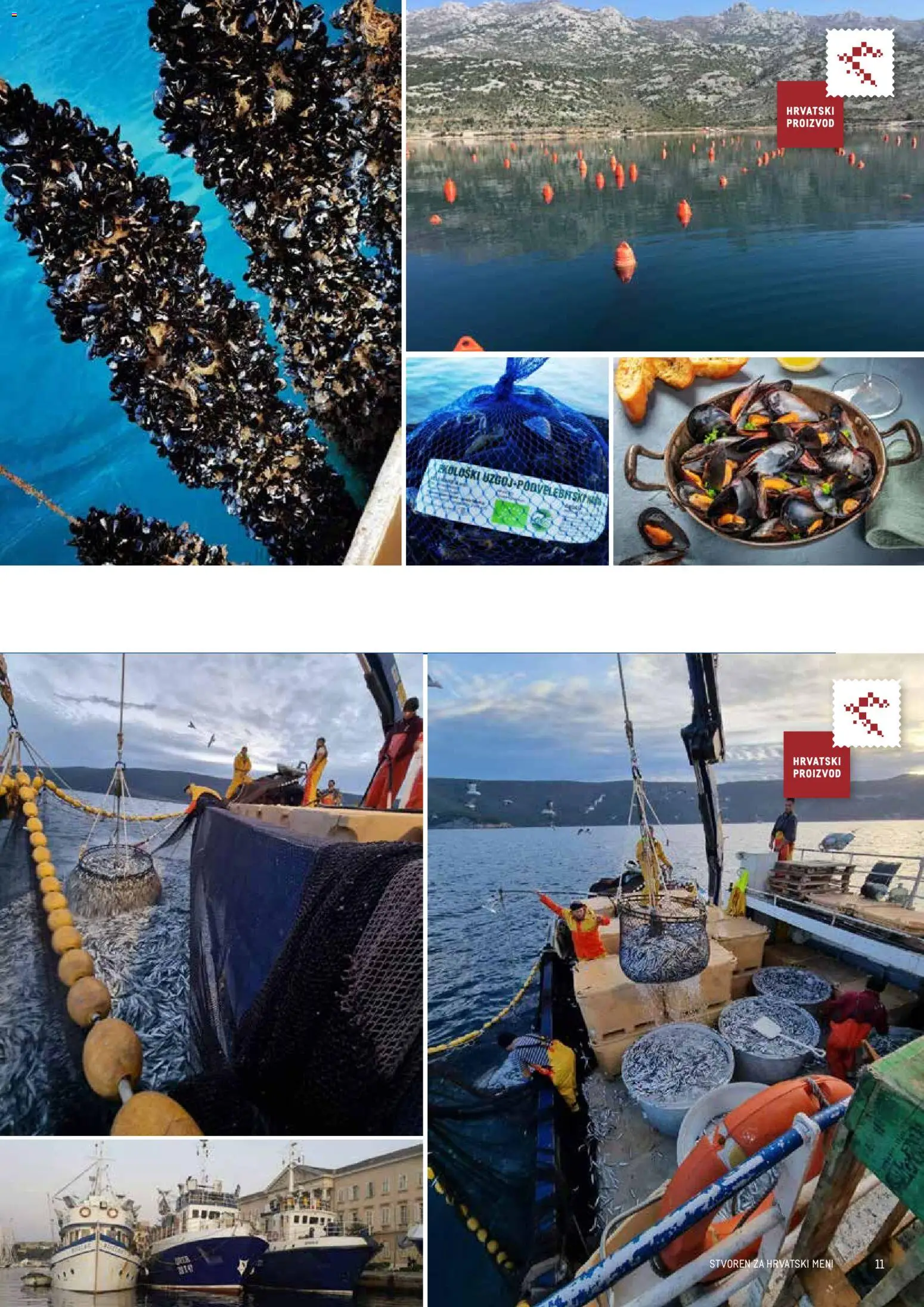 Metro katalog | vrijedi od 10.02.2026 | Stranica: 11