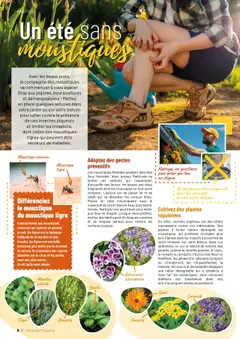  | Page: 8