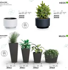 Kvetináč HEOS, plastový, s vložkou, rúčkami, vhodný pre veľké rastliny a stromčeké │ platný od 07.02.2025 | Strana: 11