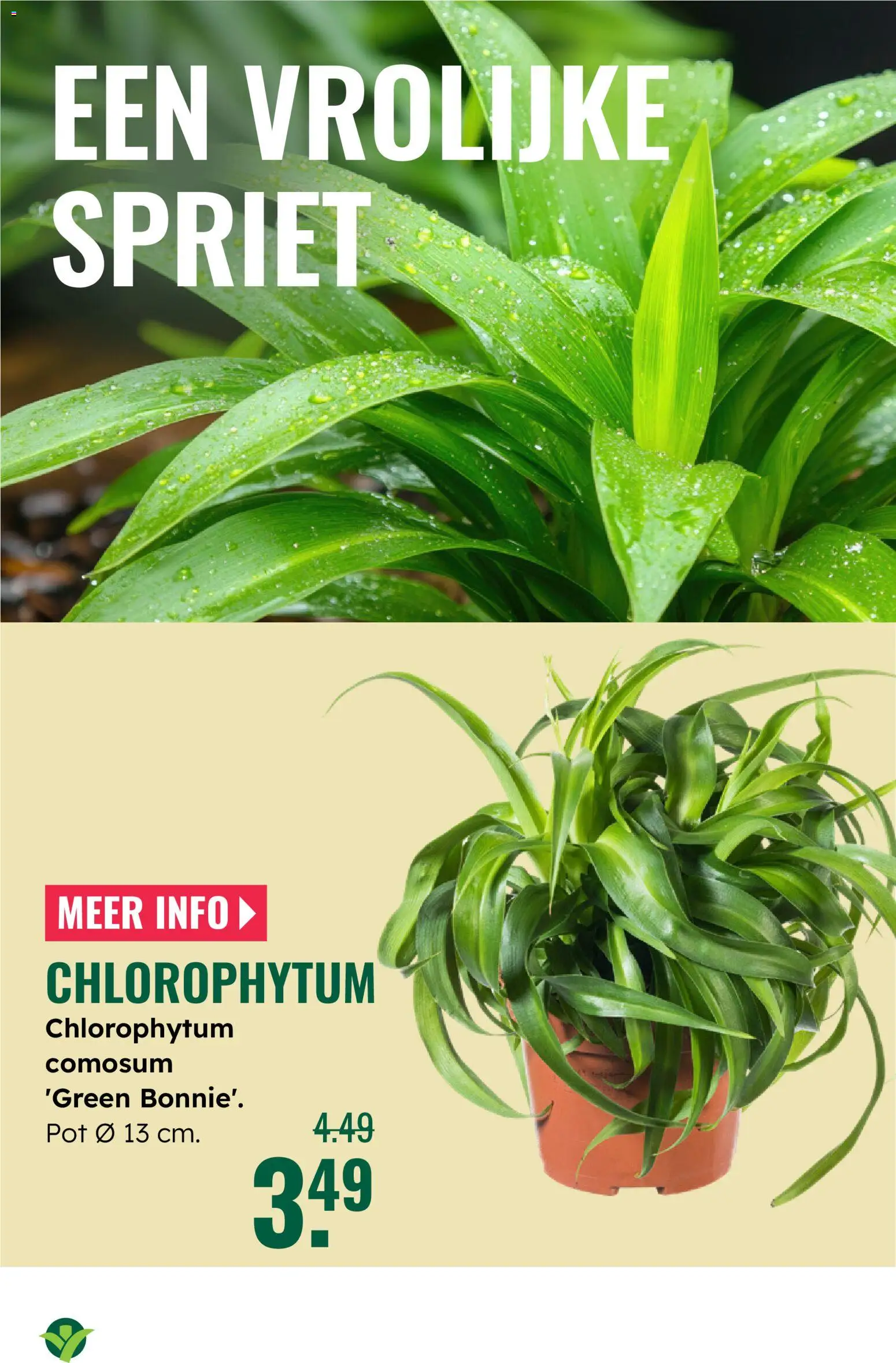 {H1} | Pagina: 13 | Producten: Pot