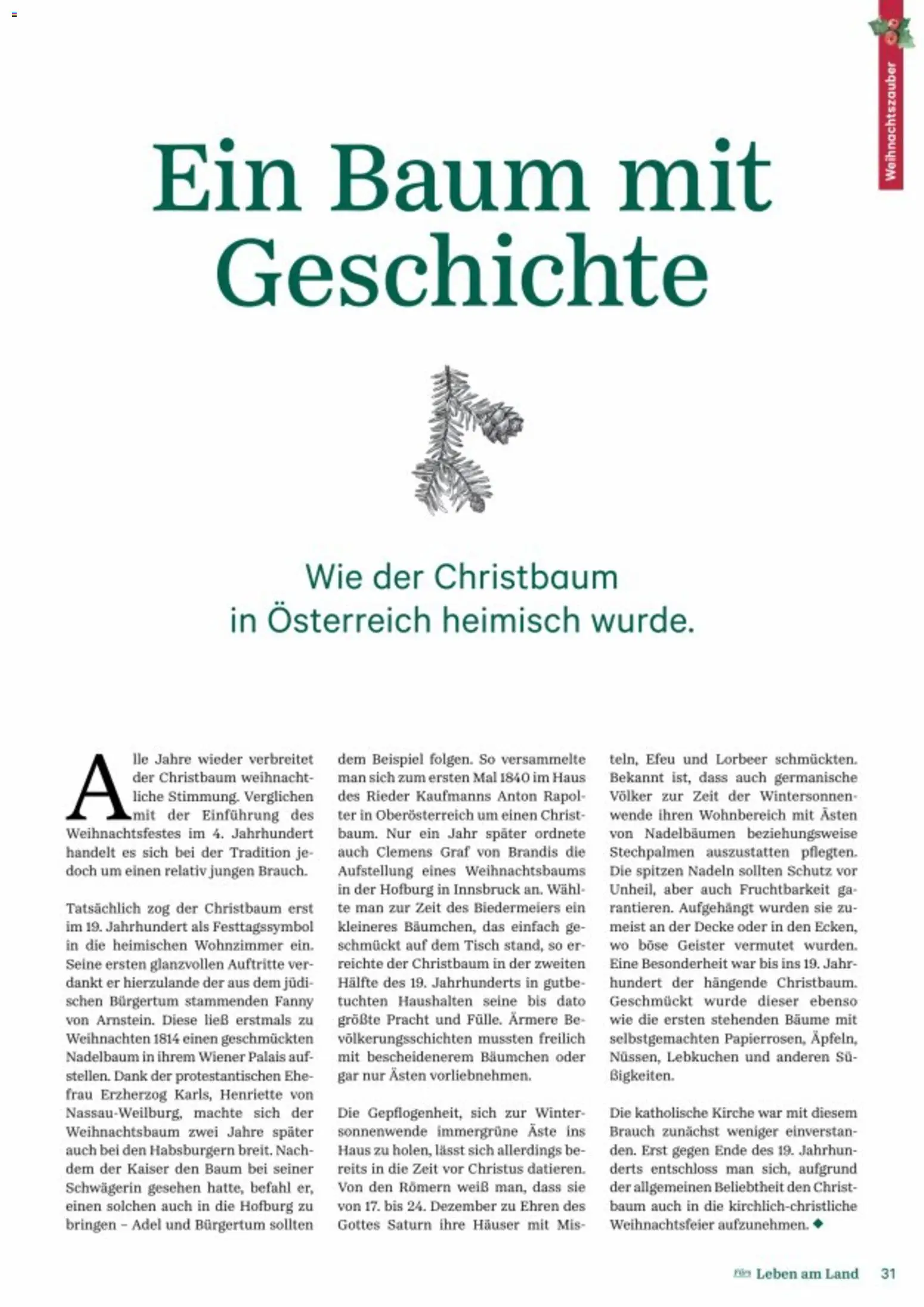 Lagerhaus Fürs Leben am Land gültig ab 01.11.2025 | Seite: 31 | Produkte: Wasser, Pfeffer, Knoblauch, Ofen