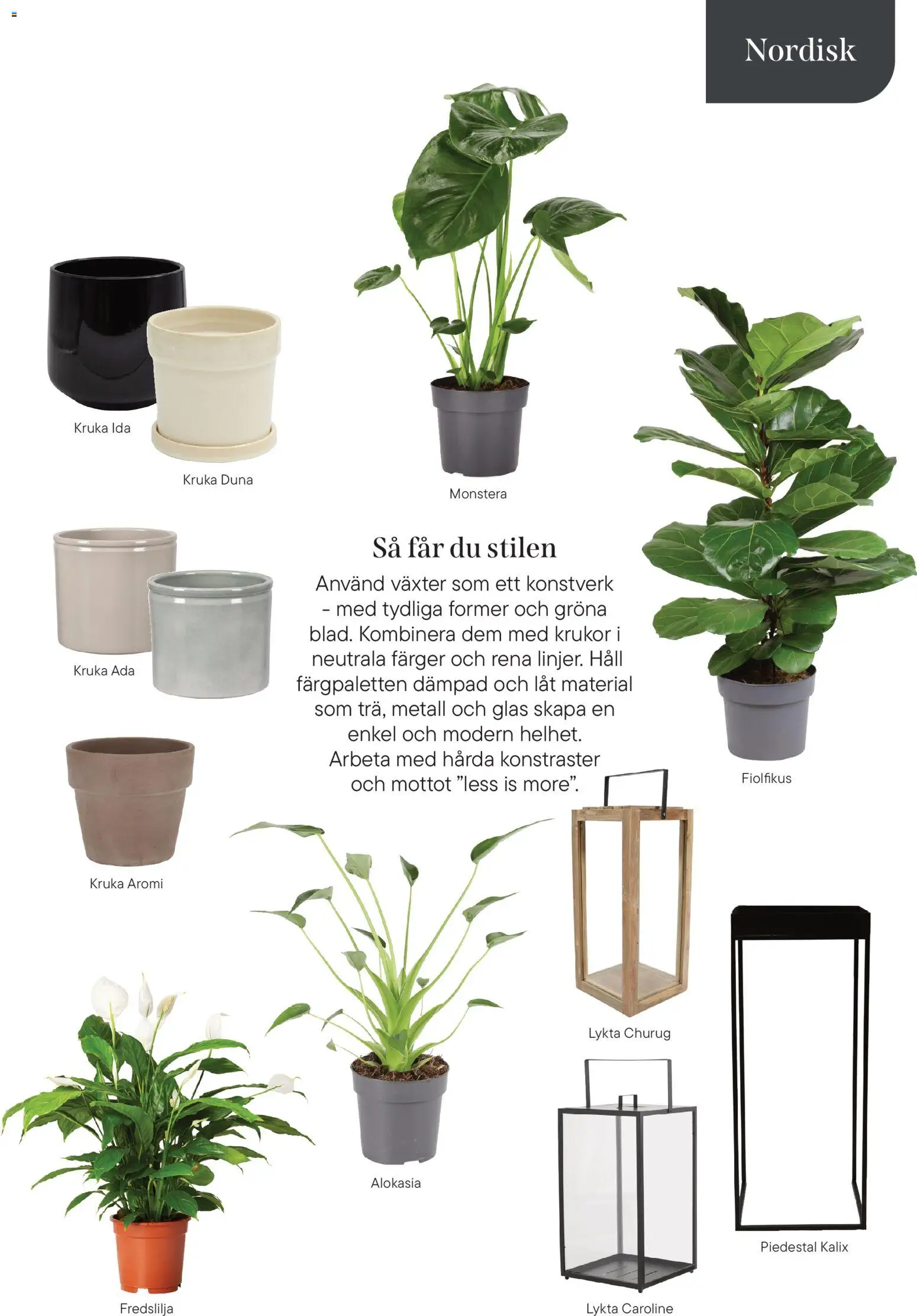 Plantagen reklamblad aktuell från 13.01.2026 | Sida: 13 | Produkter: Lykta, Piedestal, Kruka, Häll