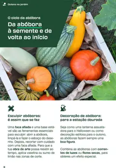 Pré-visualização Lidl - A Revista de Bricolage válido de 01.09.2025 | Página: 8 | Produtos: Dourada, Flores, Ferramentas, Abóbora