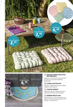 Volantino IN's del 31.05.2025 | Pagina: 17 | Prodotti: Cuscino, Divano, Candela, Zerbino