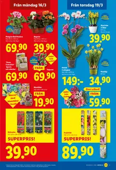 Lidl erbjudanden - Förhandsvisning av reklamblad från butik Lidl aktuell från 16.03.2026 | Sida: 20 | Produkter: Galler, Fruktträd, Sparris