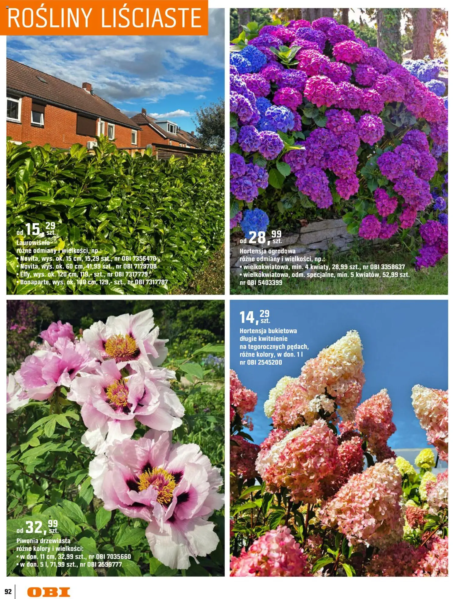 OBI gazetka - Ogród od 11.03.2026 | Strona: 92 | Produkty: Rosliny