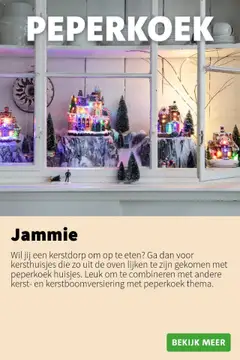 Intratuin - Kerstdorpencatalogus 2025 - Voorbeeld van een folder van Intratuin, geldig van 09.10.2025 | Pagina: 10