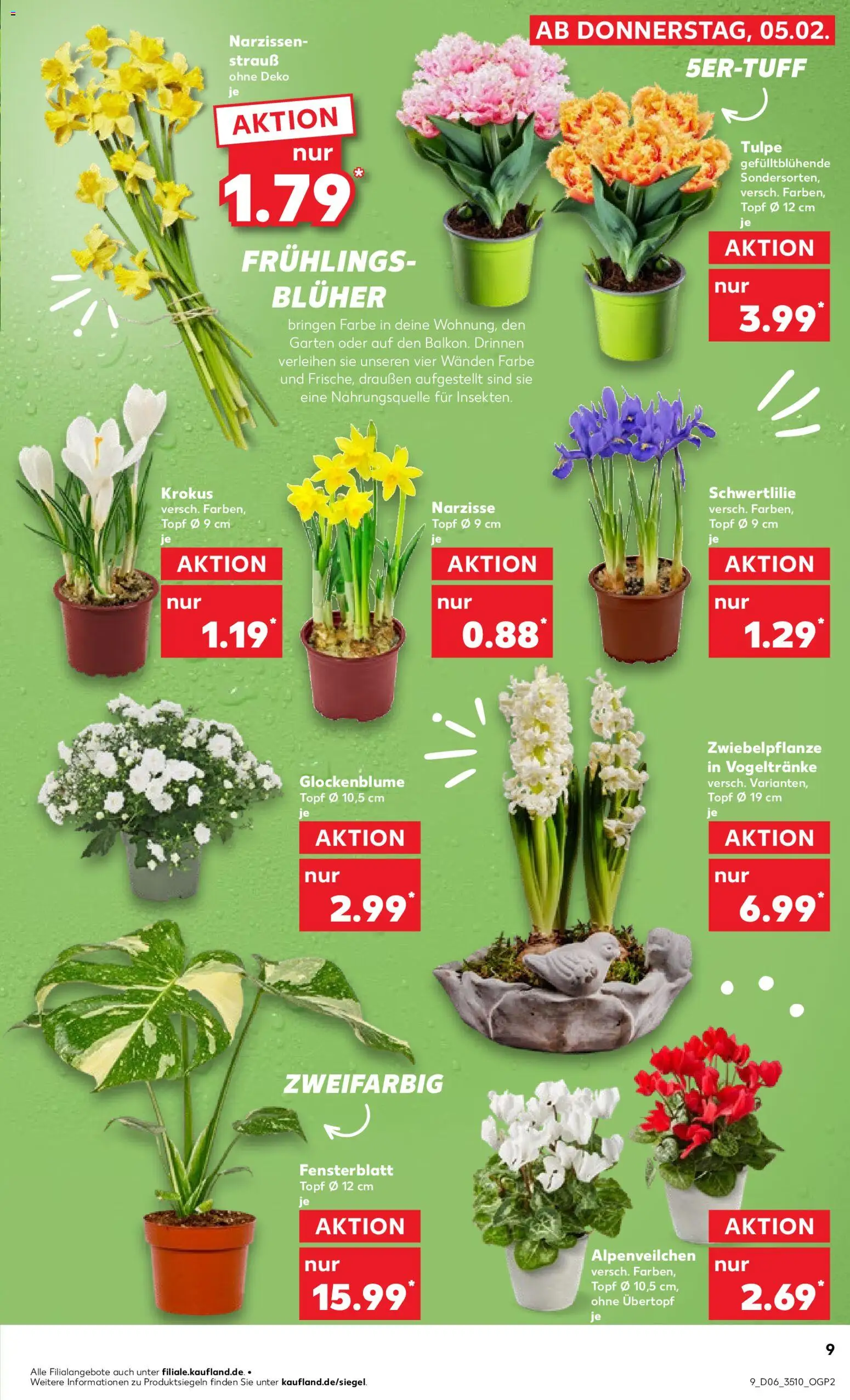 Kaufland prospekt Leipzig	 – gültig ab 08.02.2026 | Seite: 9