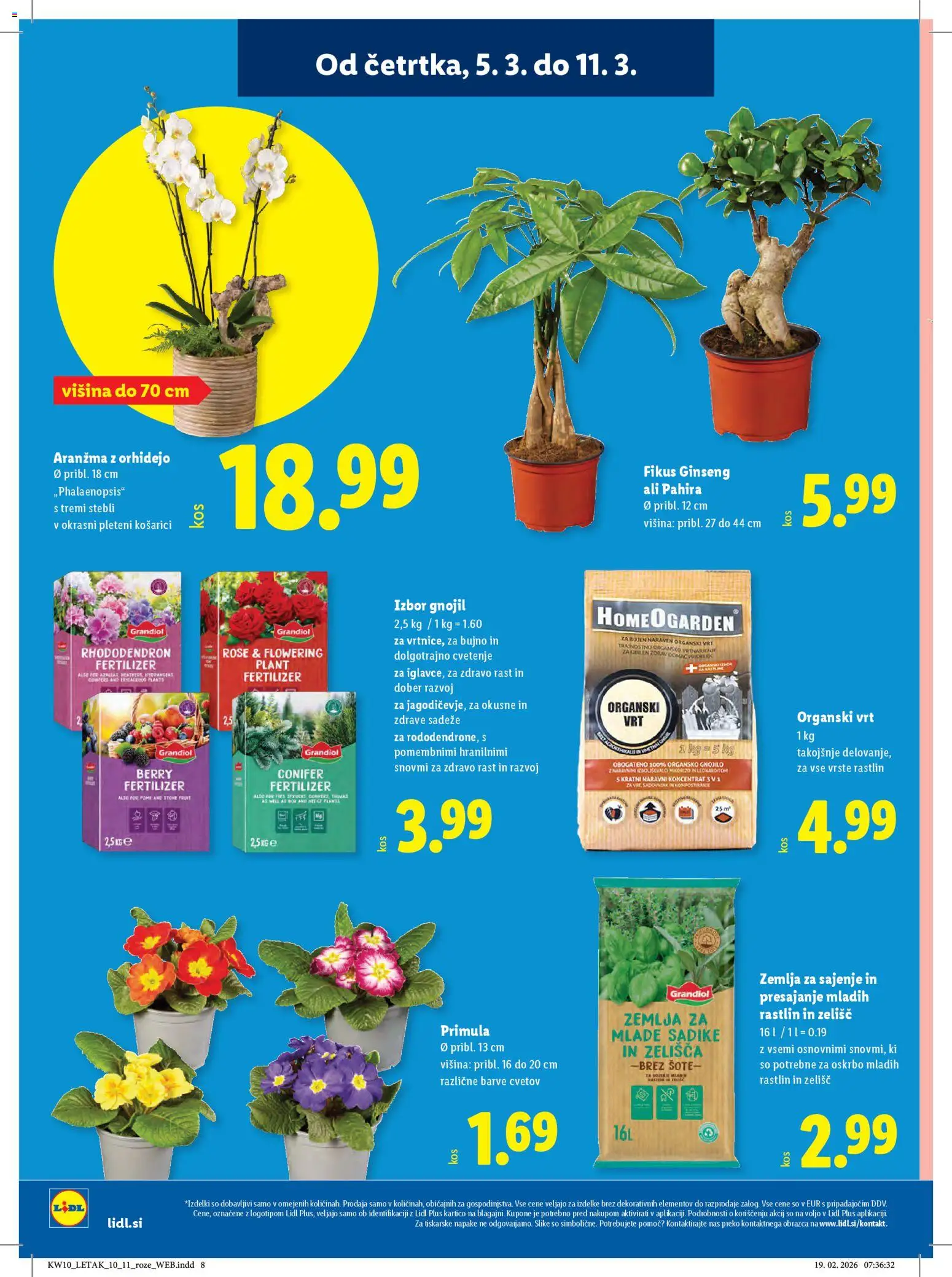 Novi Lidl katalog ponudbe – veljaven od 05.03.2026 | Stran: 36 | Izdelki: Žemlja