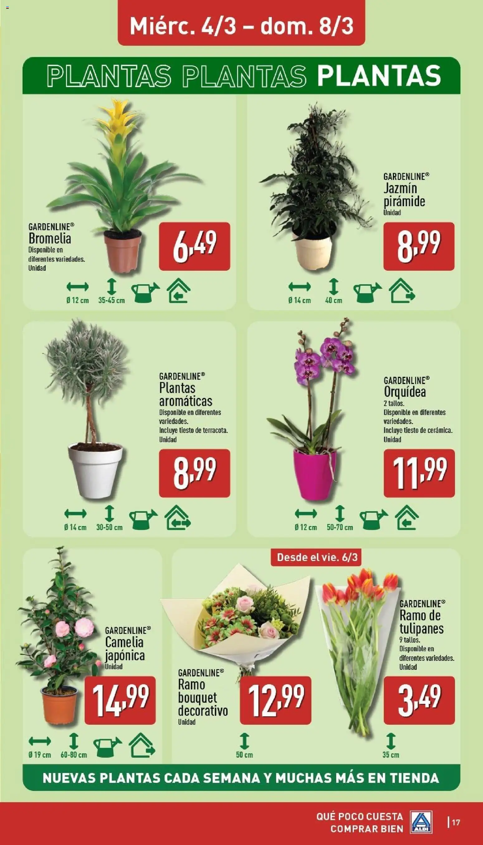 Aldi folleto Baleares │ válido desde el 02.03.2026 | Página: 17