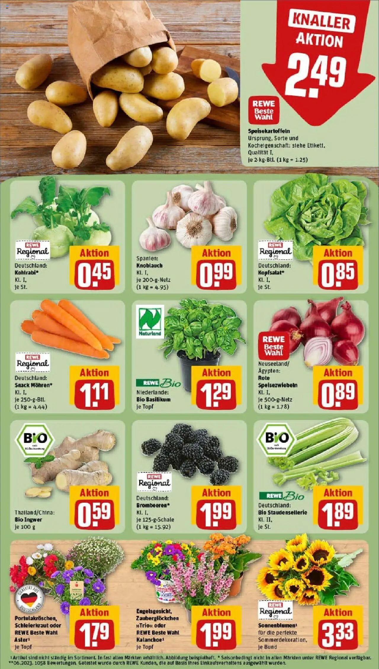 Rewe prospekt Frechen / Königsdorf	 - gültig ab dem 06.07.2025 | Seite: 7 | Produkte: Kohlrabi, Knoblauch