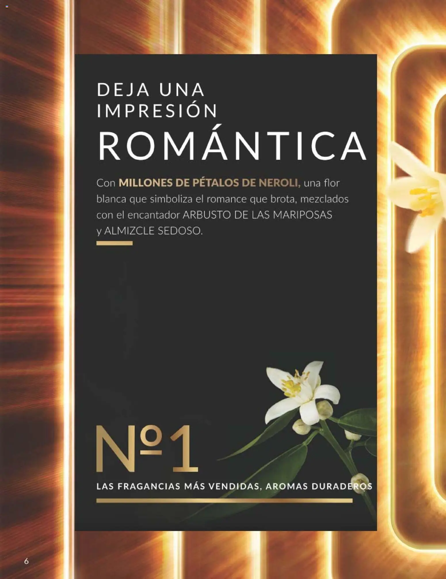 Catálogo AVON campaña 3 │ válido desde el 01.03.2026 | Página: 6