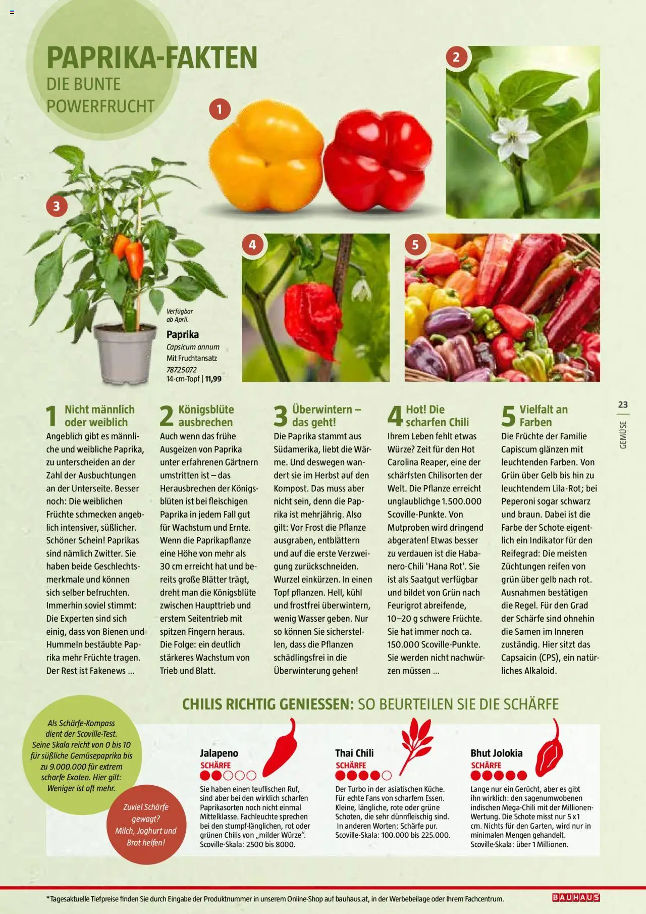 Bauhaus Reiche Ernte Magazin 2025 gültig ab 01.07.2025 | Seite: 23 | Produkte: Wasser, Gemüse, Chili, Joghurt