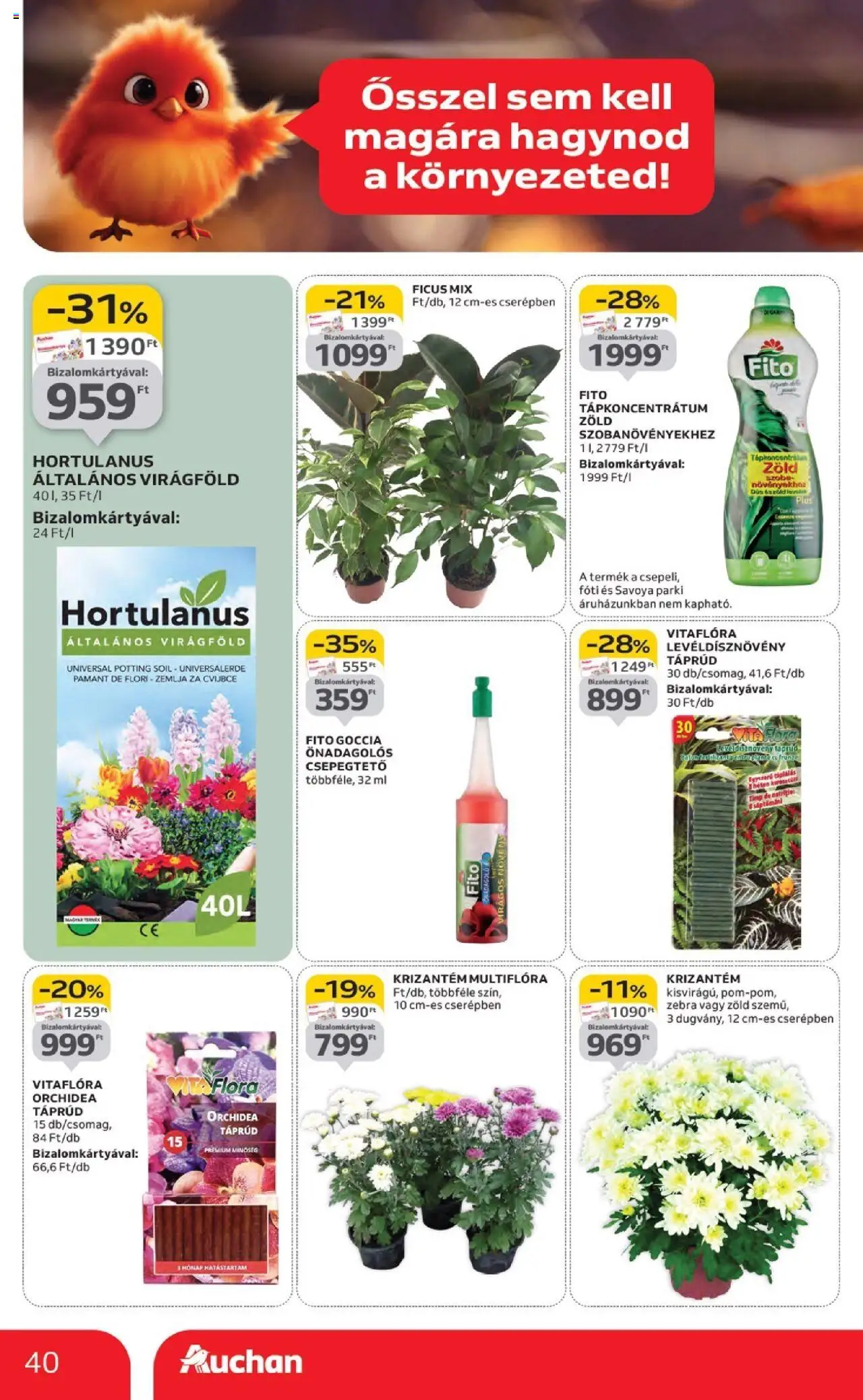 Auchan akciós ujság - amely érvényes a következő dátumtól: 18.09.2025 | Oldal: 40 | Termékek: Orchidea, Virágföld