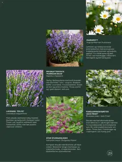 Forhåndsvisning av Plantasjen kundeavis gyldig fra 25.07.2025 | Side: 23 | Produkter: Cremă pentru față